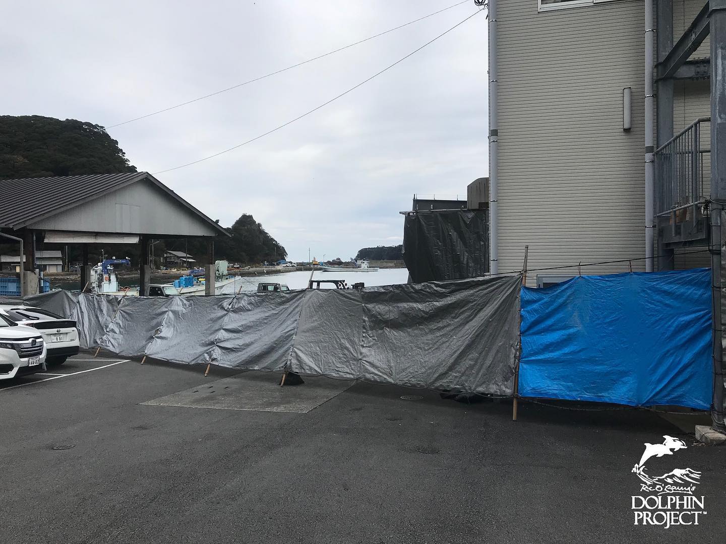 Die Delfin-Mafia Stadt Taiji versucht alles mit Planen zu verdecken, damit nichts von ihren Verbrechen an die Öffentlichkeit gelangen kann
