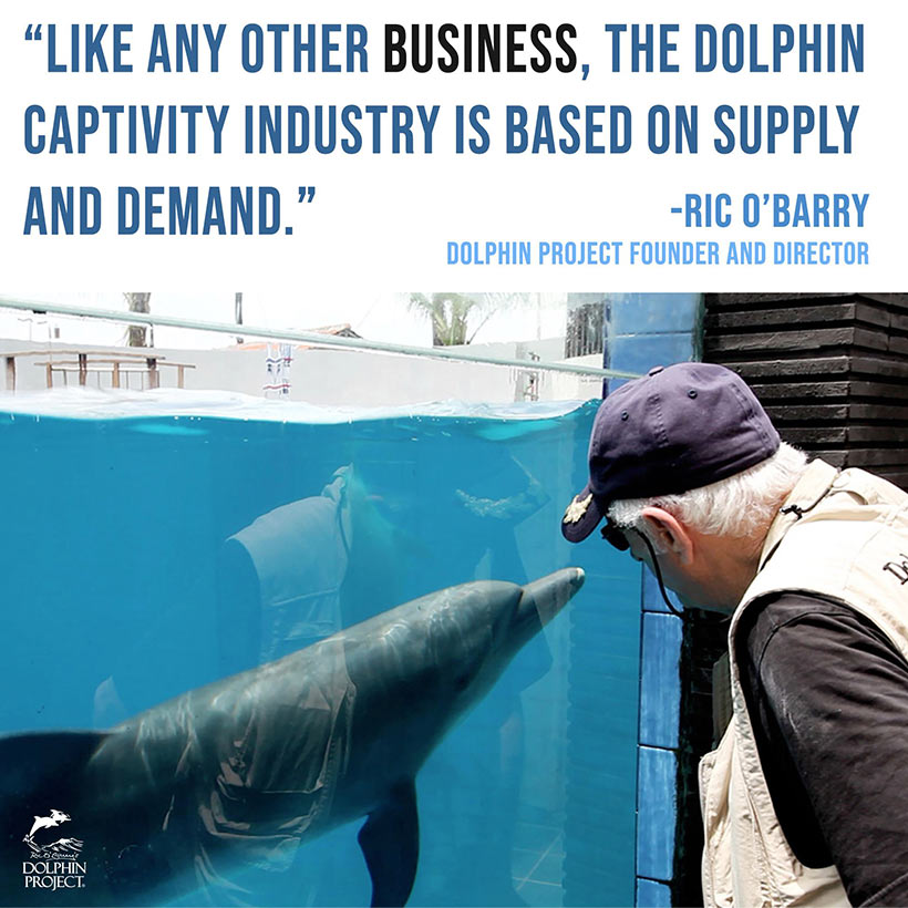 Ric O'Barry, Gründer und Direktor von Dolphin Project, töstet einen von tausenden leidenden Delfinen in Gefangenschaft