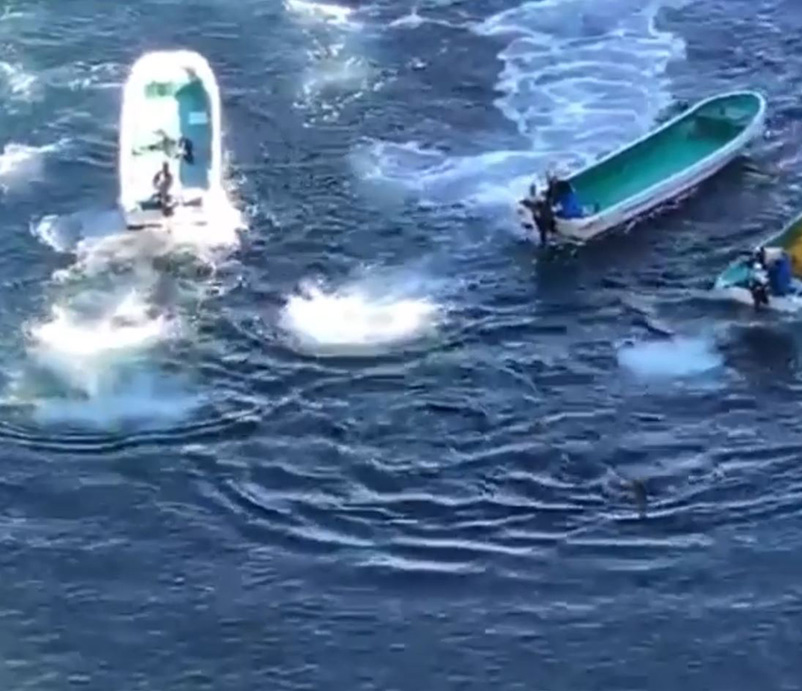Lebenslänglich ist das mindeste was dieser nazionalistische Abschaum von  Taiji Japan verdienen. Nichts kann diese unmenschlich brutale Genozid-Gewalt an diesen sanften Volk der Ozeane rechtfertigen