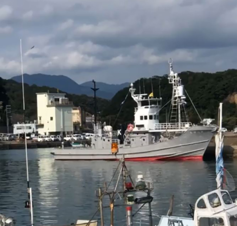 Bild: Walfangschiff in Taiji. Taiji ist die Basis für illegalen Walfang in Taiji, fianziert von der Regierung