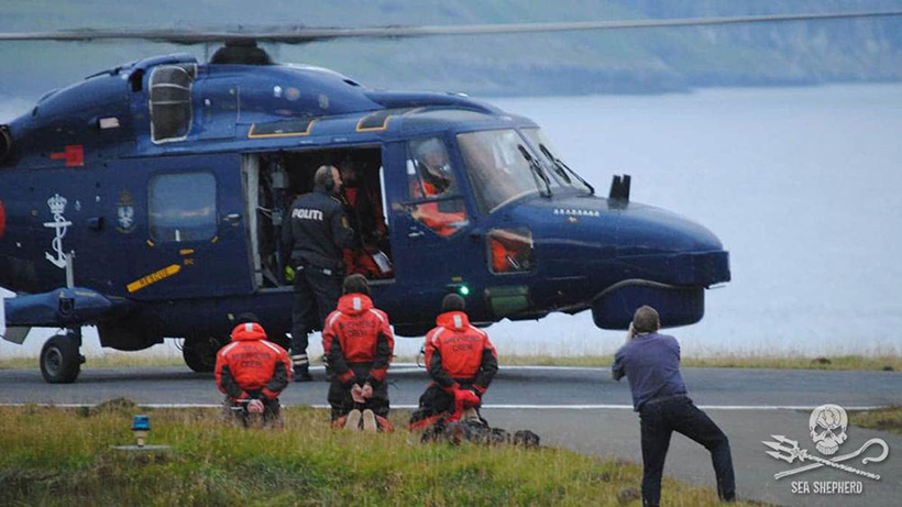 Helikopter der Dänischen Marine führt unschuldige Sea Shepherd Crew ab. Zusammenhang Dänemarks Regierung und dem Delfinschlachten ist eindeutig, doch die EU ist anderer Meinung, denn Dänemark zahlt hohe Beiträge als Mitglied der EU
