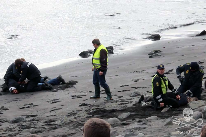 Frauen und Männer der Sea Shepherd Crew wurden 2015 vom Färöischen Killer-Mob und von der Polizei mit Gewalt misshandelt