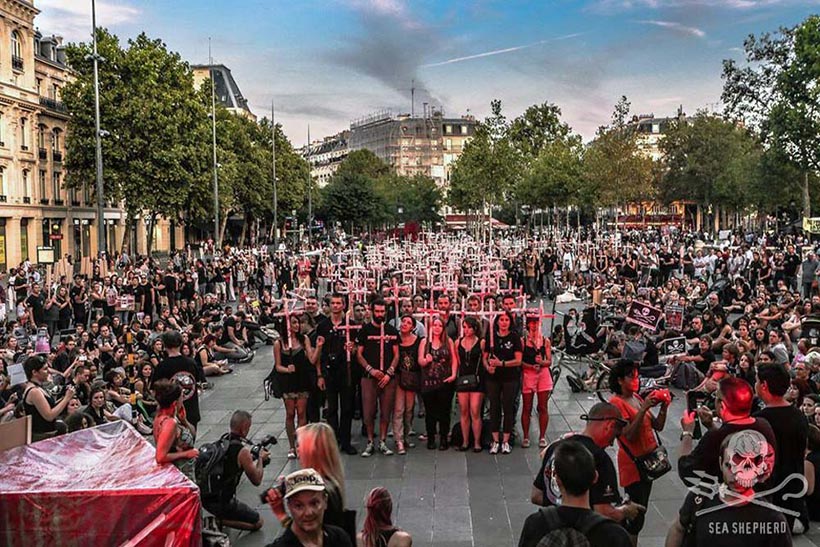 Aus der ganzen welt versammelten sich Menschen 2015 in Frankreich um für die in den Färöer Inseln 250 Ermordeten Delfine und die Sea Shepherd Crew öffentlich beteten