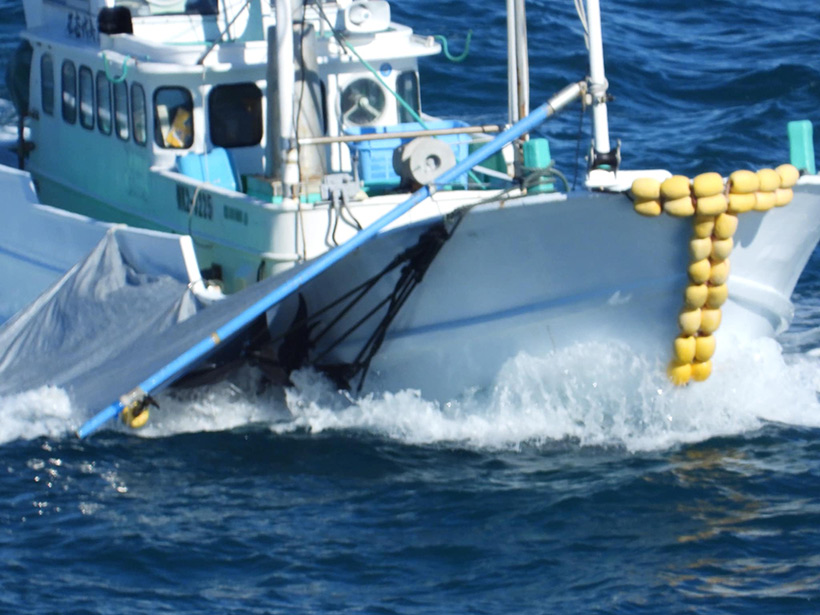 Abtransport der Delfinleichen mit einem grossen Jagdschiff