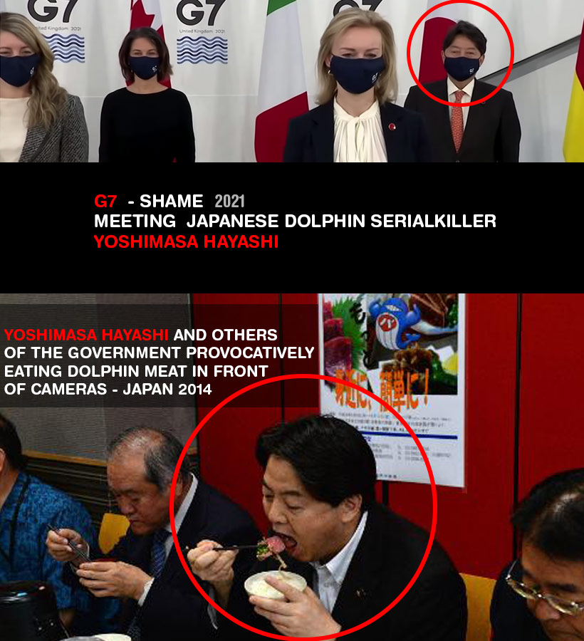 Delfinkiller Abschaum der japanischenn Regierung, Yoshimasa Hayashi und andere, fressen provokativ vor Kameras Delfinfleisch um der Welt ihre Rücksichtslosigkeit zu demonstrieren