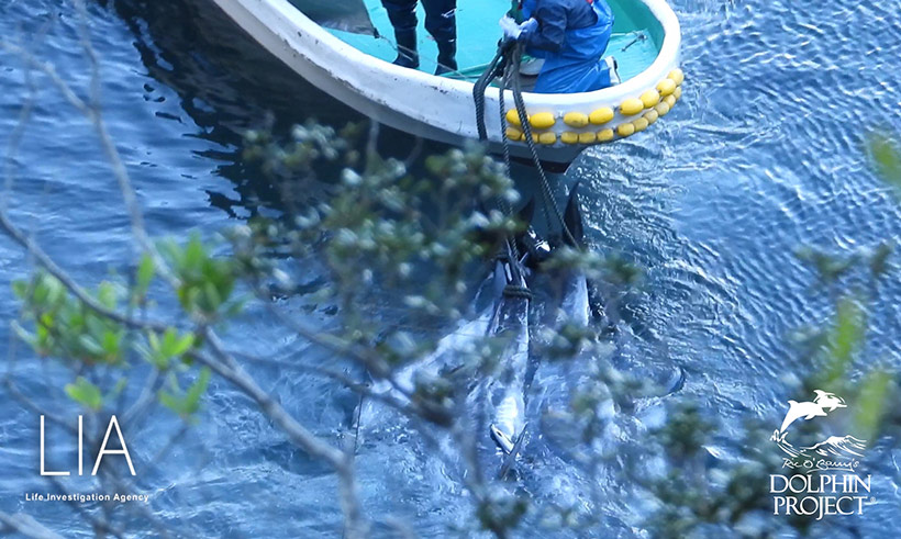Ermordete Opfer des Verbrechen von heute werden mit einem Boot zu einem Jagdschiff geschleppt, mit dessen die gefesselten Opfer ins Metzgerhaus gezogen werden