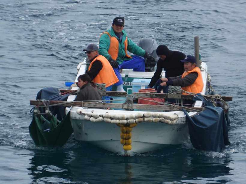 Vier entführte Delfinkinder, auf beiden Seiten ans Boot gefesselt, werden in ein Schwimmgefängnis im Hafen gebracht. Jeder auf diesem Boot, inkl. der "Trainerin", sind Delfin-Massenmörder, Mitglieder der japanischen Delfinmafia
