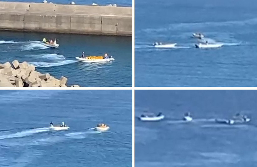 Zuerst zwei, dann drei und letztendlich mit vier Booten und einem Jagdschiff verfolgten die Killer den entwischen jungen Streifendelfin 