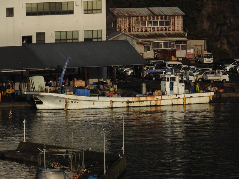Auf diesem Boot mit Kran transportieren die Killer getötete Fische, Wale, Haie, Meeresschildkröten und stark von Aussterben bedrohte Meereslebewesen wie Hammerhaie, und sie ertränken an diesem Schiff Wale die in ihre Netze geraten, möglicherweise aus Hass auf Meeressäuger und verwurzelten nazionalistischen Gedankengut aus dem zweiten Weltkrieg, als Japan mit Hitler verbündet war.