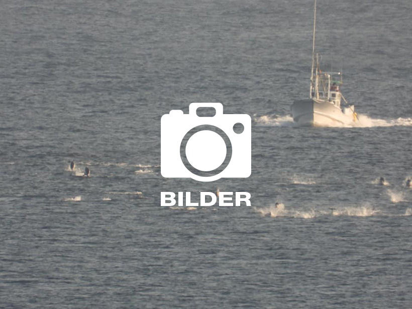 Bildergalerie öffnen, auf Bild oder Button klicken