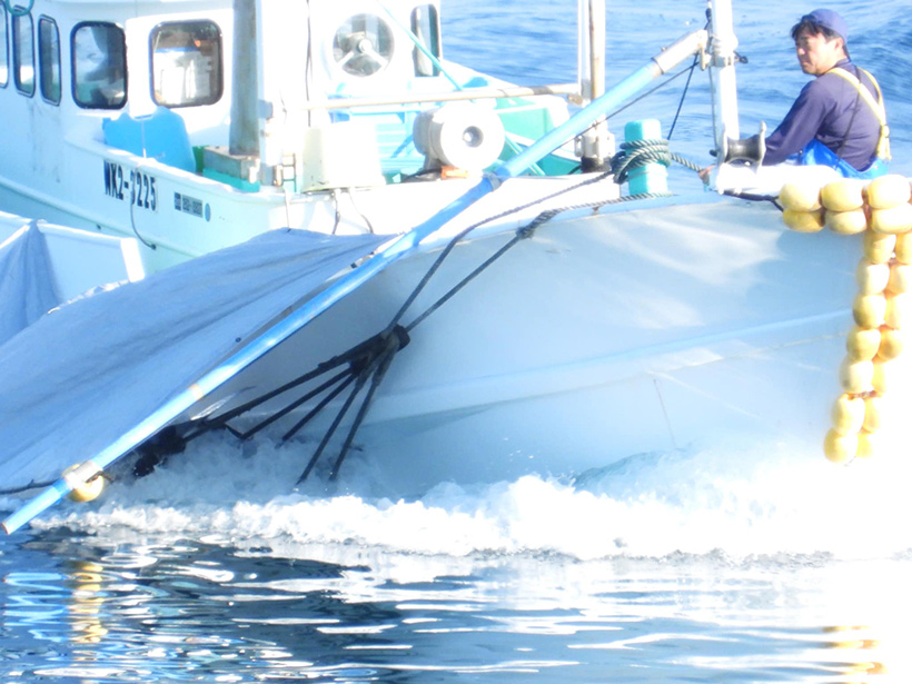 Ein abscheuliches japanisches Monster, Massenmörder ohne Mitgefühl, Mitglied der Delfin Mafia und Fischereiindustrie von Taiji, sitzend auf dem Jagdschiff, an dem fünf seiner Opfer des heutigen Verbrechen gefesselt sind, und ist stolz darüber, diese Konkurrenz für Fisch aus dem Ozean beseitigt zu haben - Psychopath