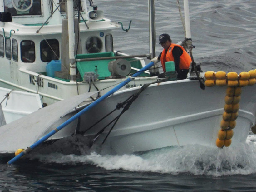 in grosses Jagdschiff schleppt ermordete Pilotwale ins Metzgerhaus. Der Typ mit der orangen Schwimmweste ist ein bekannter aggressiver Abschaum, im Film The Cove griff er einige Filmer an, aber auch noch später weitere. Dr Geisteszustand von Monstern wie die "Fischer von Taiji", die harmlose Tiere Quälen und/oder absichtlich ertränken, ist schon fragwürdig.