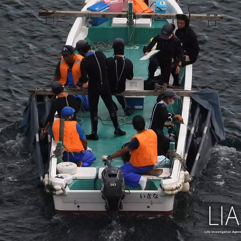 Die letzten zwei entführten Delfine ans Boot gefesselt werden zu den Schwimmkäfigen im Hafen von Taiji transportiert