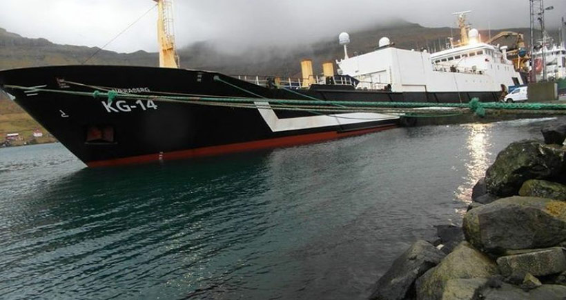 Ein riesiger färöer Fischfabrik-Trawler der mit einem Netzzug tausende Tonnen Fische fängt.