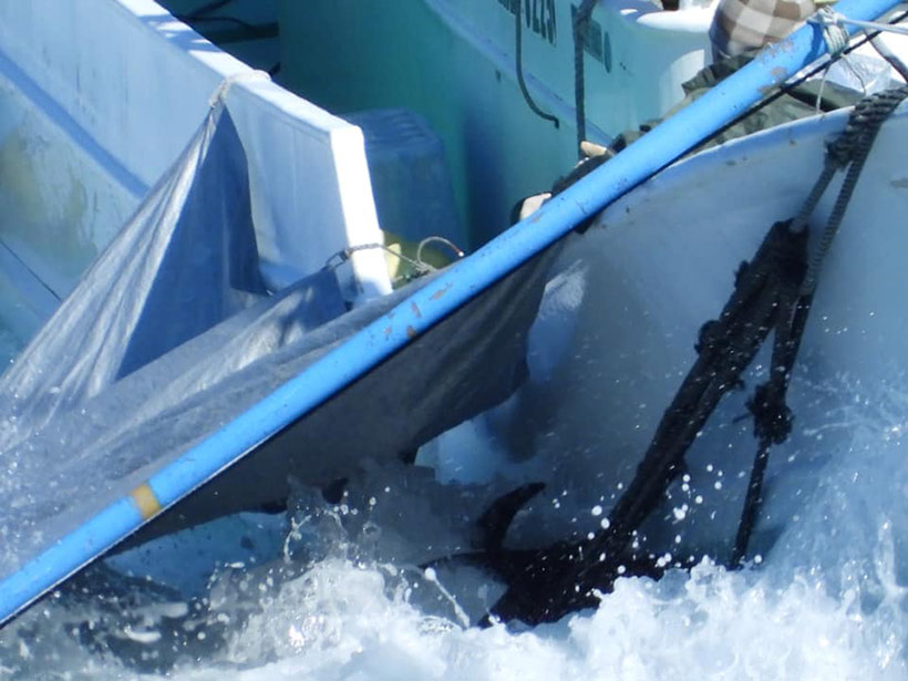 Die ermordeten Rissos Opfer des heutigen Massakers werden mit einem Jagdschiff zum Metzgerhaus gezogen