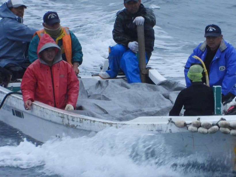 Die japanischen Monster, sitzend auf ihren tyranisierten Opfer, aggressive Psychopathen die genüsslich Delfine quälen und mit dem Ermorden ihren Sadismus befriedigen