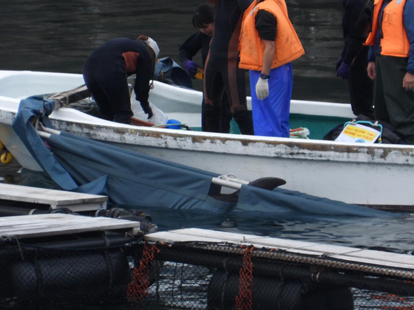 Entführungs-Opfer in einem Sack an das Boot gefesselt werden kurz darauf in ein Schwimmgefängnis geworfen