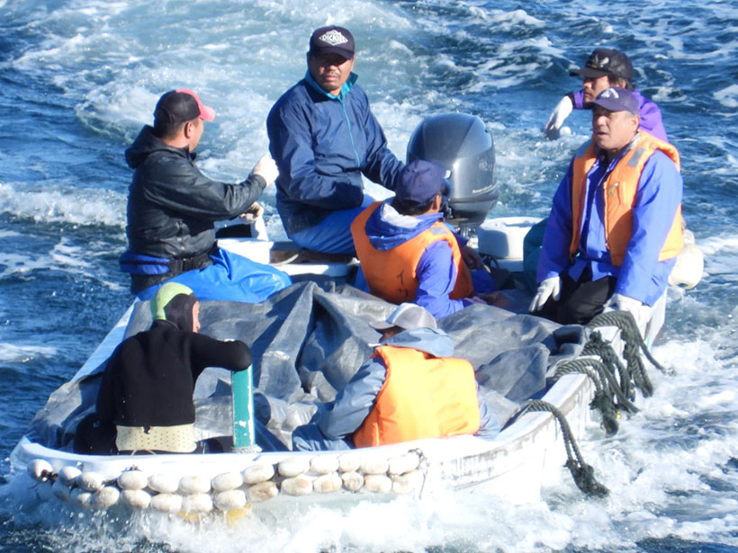 Die Opfer werden mit dem Boot ins Metzgerhaus transportiert, möglicherweise sind noch nicht alle tot, vielleicht durch die Zerstörung der Wirbelsäule "nur" Querschnittgelähmt, wie so oft. 