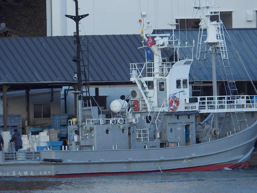 Taiji ist die Walfang Zentrale Japan's, ein Walfangschiff entlud vermutlich toxisches Walfleisch einer oder mehreren ermordeten uns unbekanten Spezies