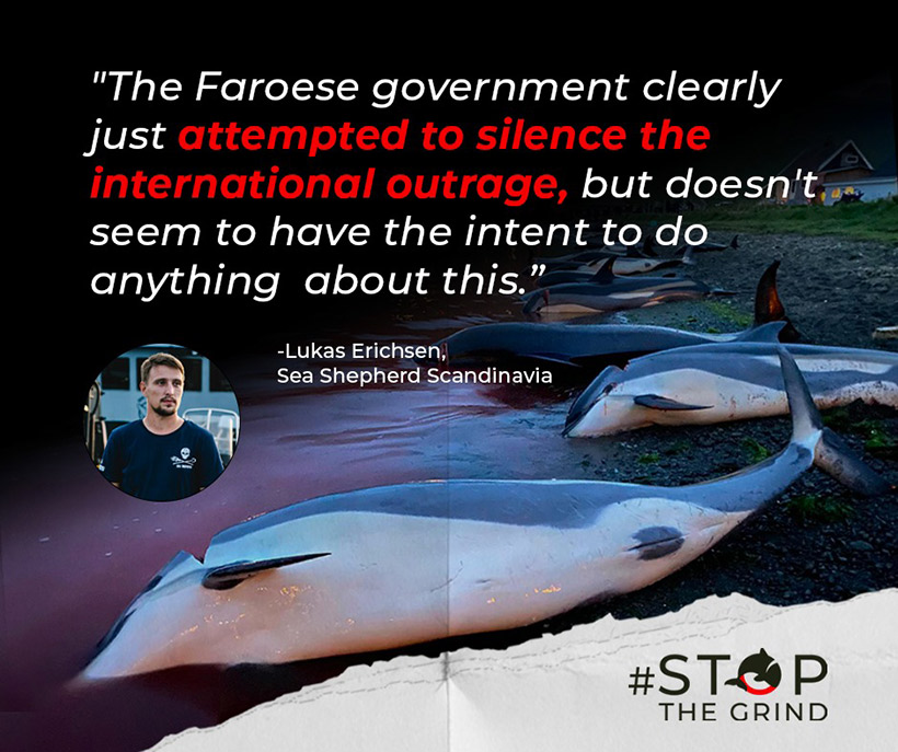 Bild by Sea Shepherd UK Op Bloody Fjords