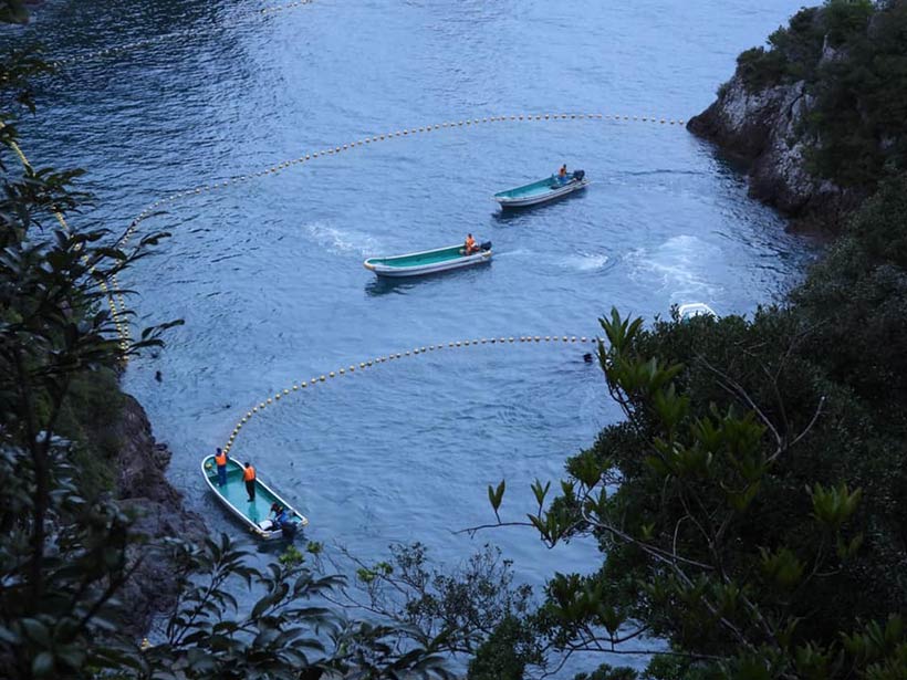 Terror im Netz vor dem Strand