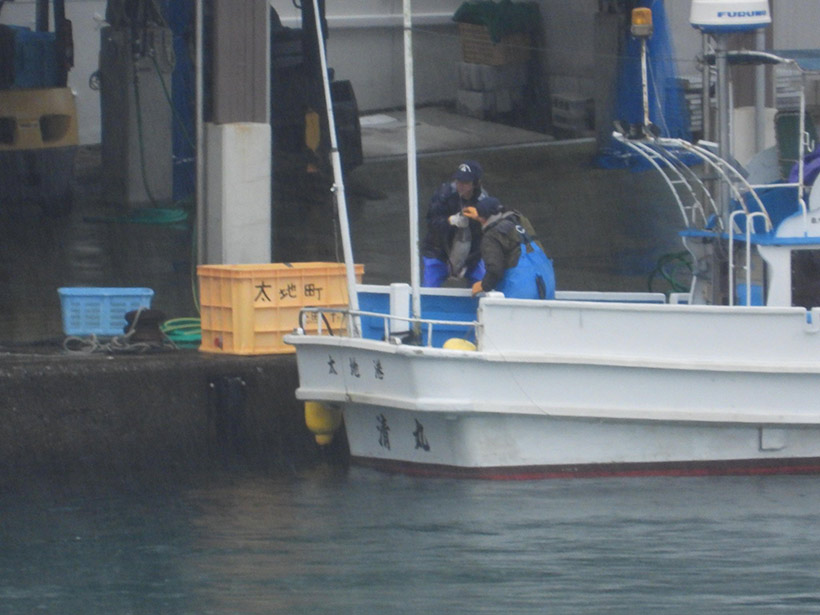 Bild by Kunito Seko: Während die anderen 11 Delfin-Vernichtungs-Kriegschiffe Streifendelfine terrorisierten, fischte der Killer auf den 12. Schiff auf Thunfische. Ozean-Terrorist mit Delfin-Vernichtungs-Kriegschiff Nr. 12 läd ein paar Tunfische im Metzgerhaus aus die er gefangen hatte, in dem Metzgerhaus, die 12 Streifendelfine auseinandergeschnitten wurden.