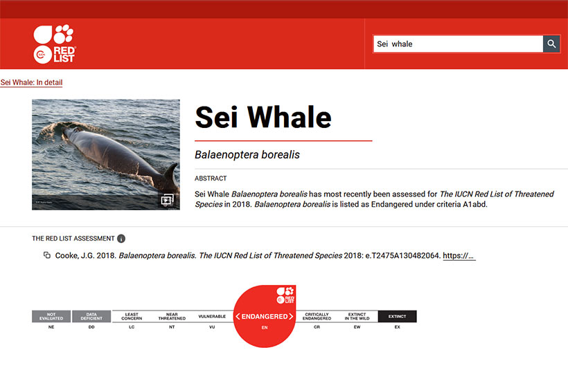 Seiwale Red list