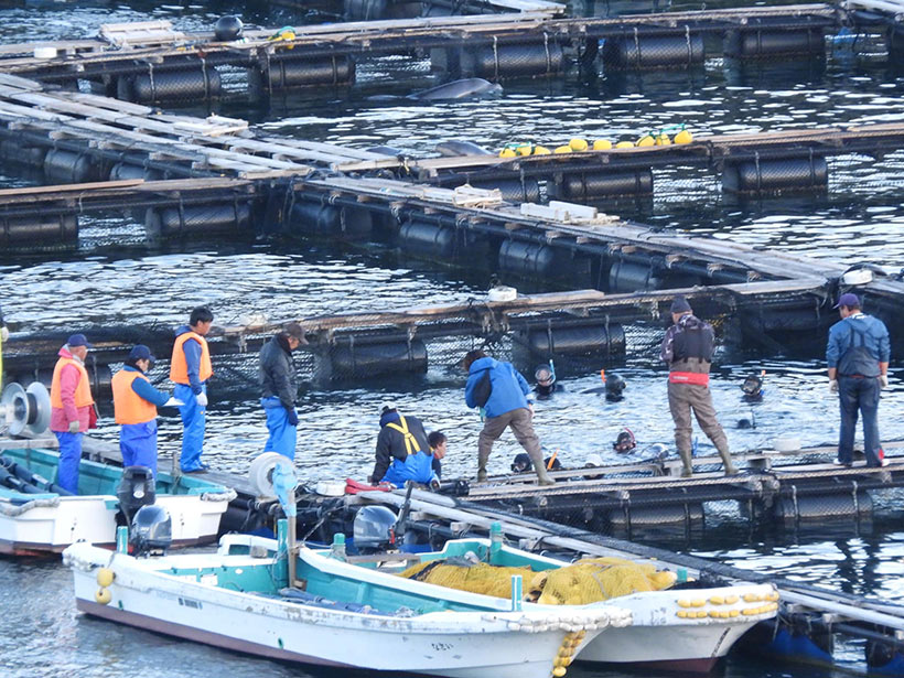 Foto by Kunito Seko