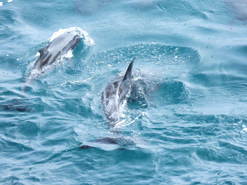 Bild by Kunito Seko